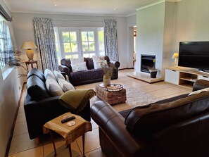 Smart TV, fireplace