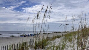 Ein sandiger Strand mit hohem Gras, einem Holzzaun und dem Meer im Hintergrund.