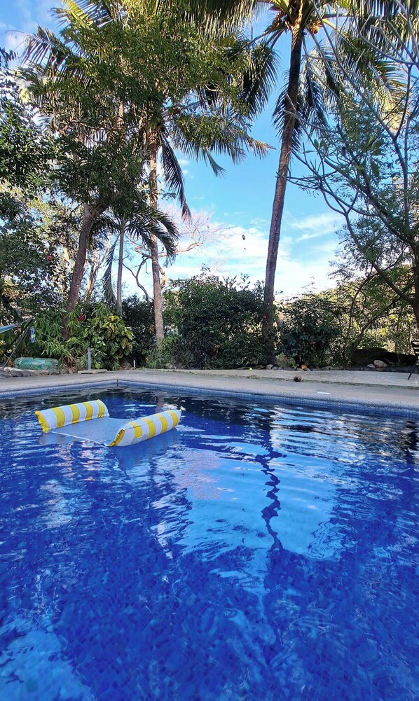 Pool - Immersion Nature at Casa Avifauna - Swimming Pool & Tropical Serenity (Playa Ocotal, Sardinal)