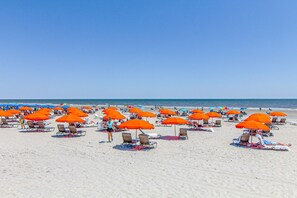 Nära stranden