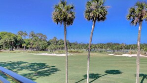 Un campo de golf con palmeras, bunkers de arena y un cielo azul despejado.