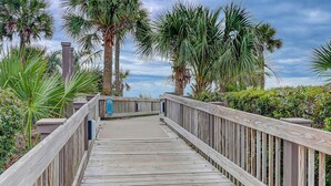 A wooden boardwalk with railings, surrounded by palm trees and greenery.