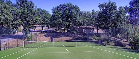 Una cancha de tenis con una red, rodeada de árboles y una valla.