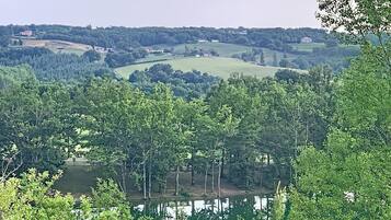 A landscape view with a body of water, trees, and distant buildings.