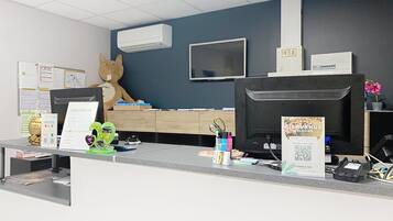 Cottage | Meja sambut tetamu