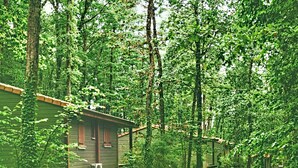 A row of cabins in a wooded area with a dirt path leading through. - Monclar Escape With Tennis & Shared Pool (Monclar-de-Quercy)
