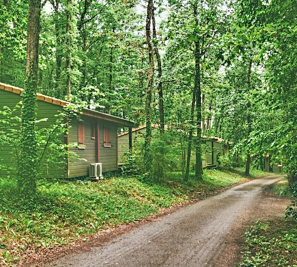 A row of cabins in a wooded area with a dirt path leading through. - Monclar Escape With Tennis & Shared Pool (Monclar-de-Quercy)