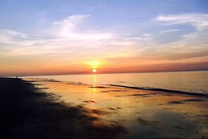 Nära stranden
