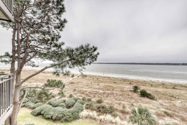 Vista costera con un árbol, playa y zona cubierta de césped.