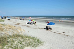 Beach nearby - Dog-Friendly Condo with WiFi, Pool, & Tennis - Short Walk to Beach (Hilton Head)