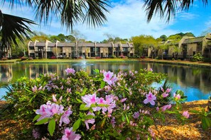 Property grounds - Spacious Villa with Shared Pool, Hot tub & Lagoon Views  - Walk to Beach (Hilton Head)