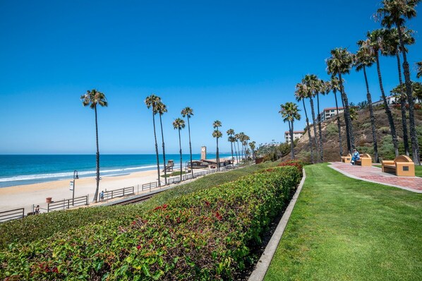 A coastal promenade with palm trees, a beach, and a grassy area with benches.