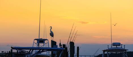 A marina with boats docked, a bridge in the background, and a bird perched on a boat.