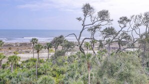 Un paysage côtier avec des palmiers et une plage en arrière-plan.