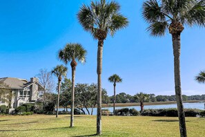 Property grounds - Charming Ground Floor studio condo near beach with tennis, pickleball, & water views (Hilton Head)