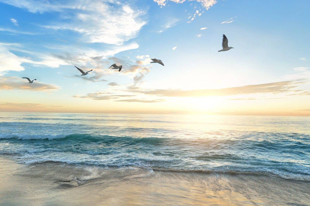 A beach scene with waves and birds flying in the sky.