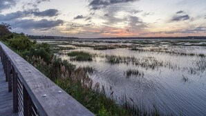 Ein hölzerner Gehweg führt zu einem sumpfigen Gebiet mit Wasser und Vegetation.