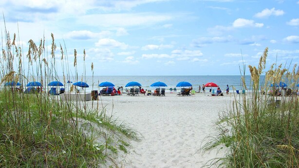 Ein Strand mit blauen und roten Sonnenschirmen, feinem Sand und dem Meer im Hintergrund.