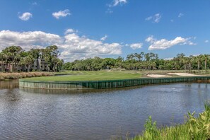 Golf - Spacious Home - four rows from the ocean with private deck (Hilton Head)