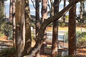 Property grounds - Ocean‑View Condo at The Spa on Port Royal Sound (Hilton Head)