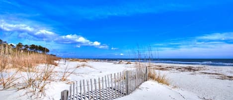 Nära stranden