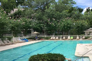 A swimming pool with lounge chairs and a fence, surrounded by trees and greenery. - Seas the Day - all-suite getaway with pools, tennis, steps to beach (Hilton Head)