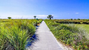 Una pasarela de madera atraviesa un paisaje natural con hierba y pequeños árboles.