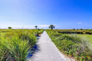 Property grounds - Updated Condo W/ Fast WiFi, Shared Pool, Balcony & Central AC - Walk to Beach (Hilton Head)