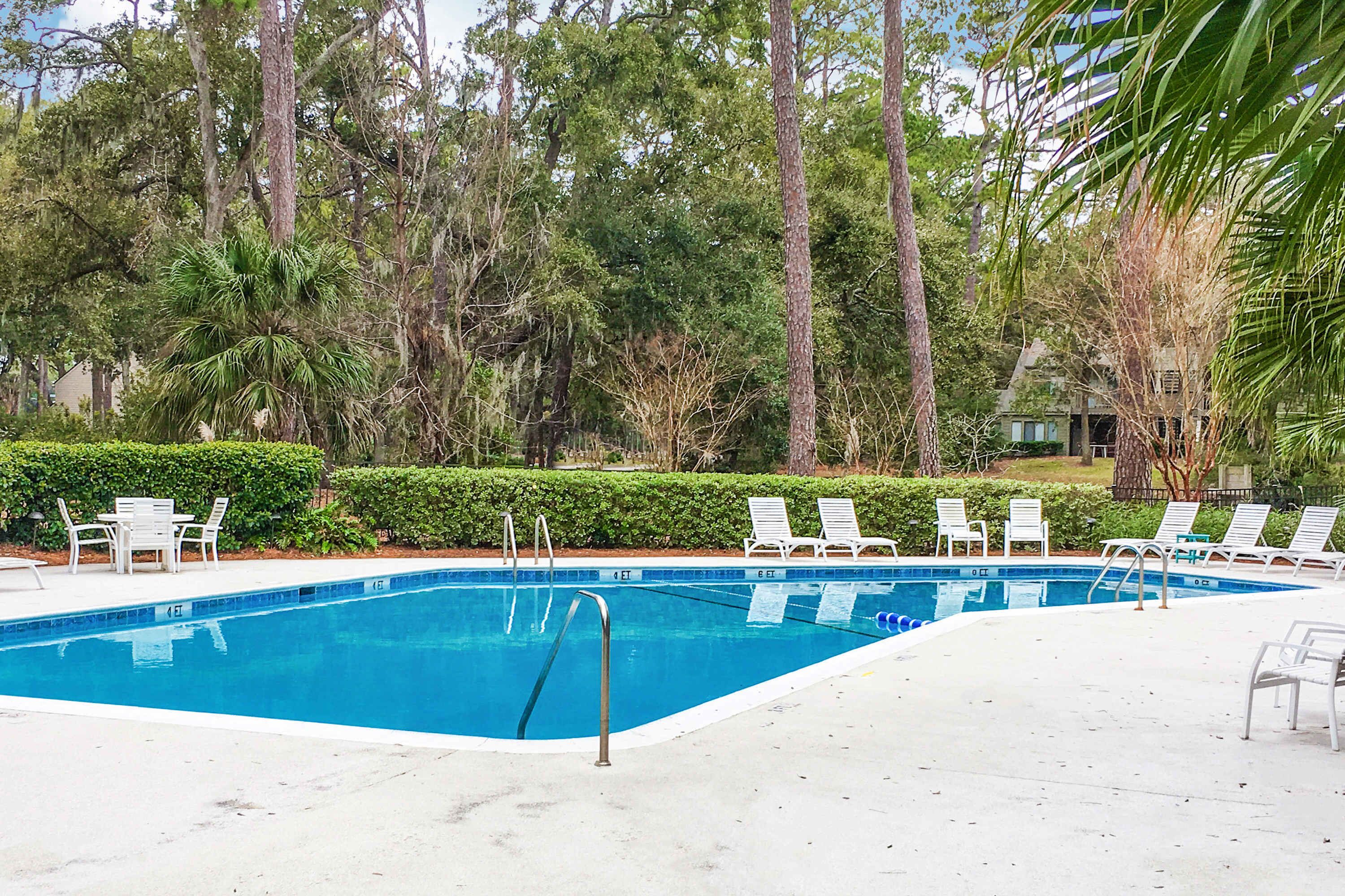 A swimming pool with lounge chairs and a small table, surrounded by trees and a hedge.