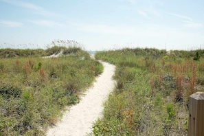 Beach nearby - Sunny Ocean Club Condo | Pool & Private Beach Access | Steps to Shore (Hilton Head)