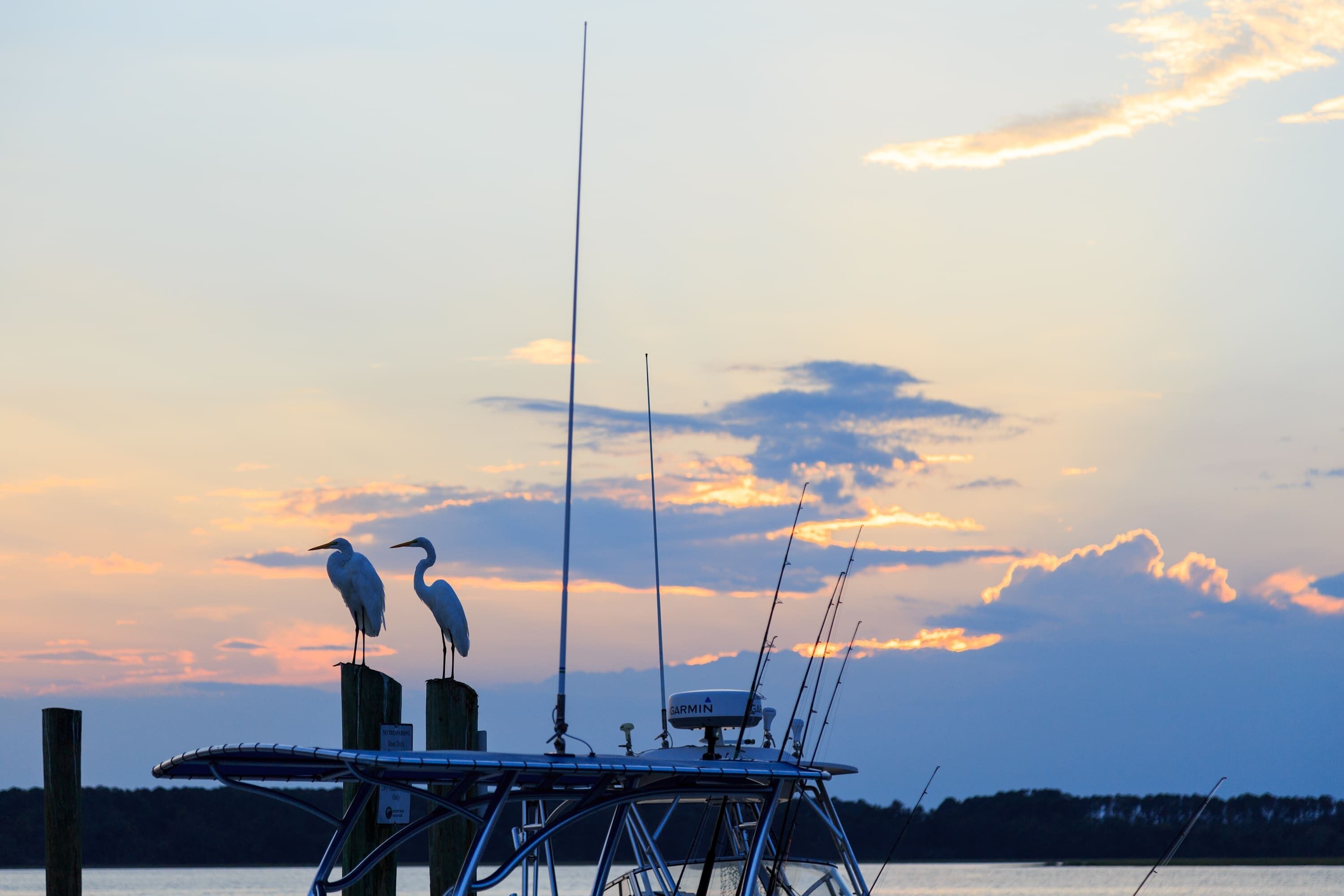 A boat docked at a pier with two birds perched on it, a Garmin device, and fishing rods.