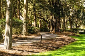 Property grounds - Dog-friendly villa w/ lagoon views & an updated interior - near beach & pools (Hilton Head)