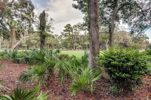 Property grounds - Ground level condo with pool, golf & Sea Pines Beach Club access (Hilton Head)