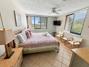 A bedroom with a bed, a desk, a chair, a ceiling fan, and a TV. - Beachfront getaway with WiFi, pools, hot tub, gym, washer dryer, & central AC (Hilton Head)
