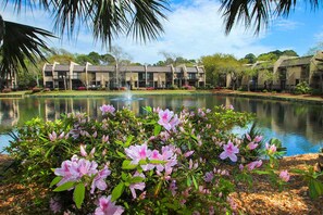Property grounds - Island Club retreat with pool, hot tub, beach access & balcony (Hilton Head)