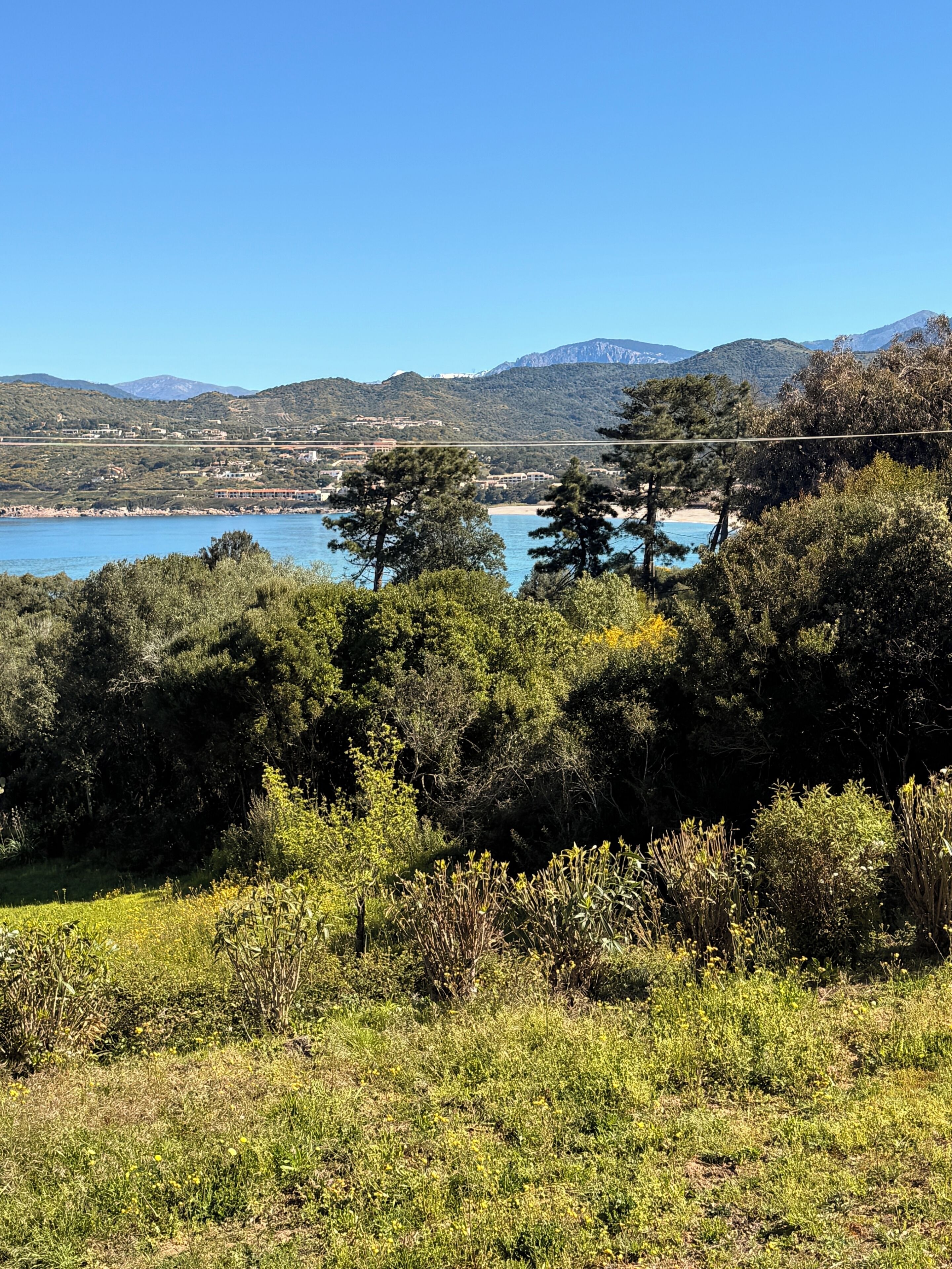 Un paisaje costero con una vista despejada del agua, colinas y vegetación densa.