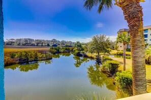 Property grounds - Island Resort Getaway | 3 Pools, Hot Tub, Tennis & Beach Access | Near Golf (Hilton Head)