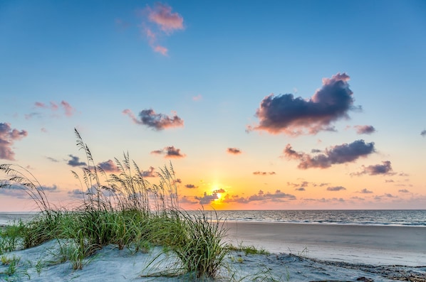 On the beach - Island getaway by the ocean w/ balcony view & shared pool - beach access (Hilton Head)