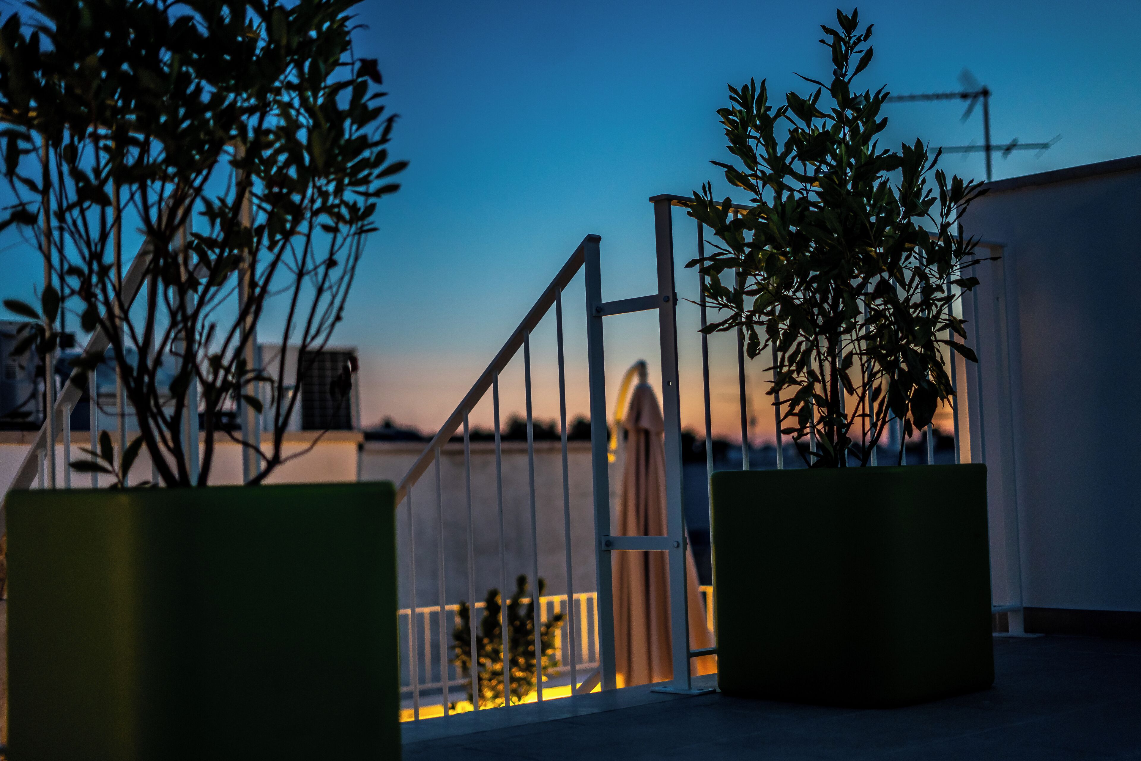 Cielo | Parco della struttura