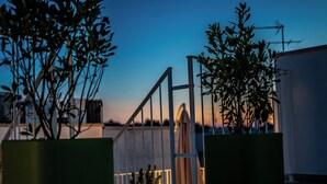 Una terraza en la azotea con dos plantas en macetas, barandilla metálica y vista al atardecer.