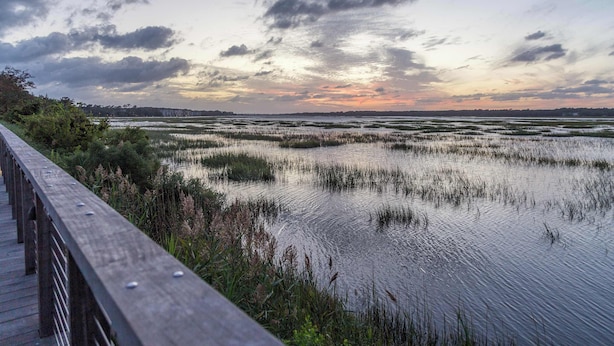 A wooden boardwalk leading to a wetland area with water and vegetation. - Sunny getaway with full kitchen, furnished deck, and shared pool (Hilton Head)