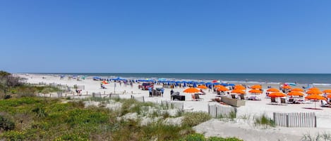 A beach with rows of umbrellas and sun loungers, a sandy shore, and a clear sky.