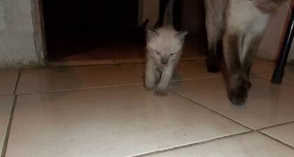Foot down