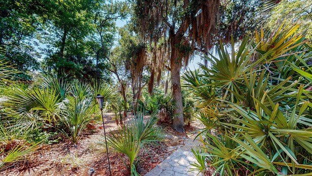 Un sendero en un jardín con un diseño de baldosas hexagonales, rodeado de diversas plantas y árboles tropicales.