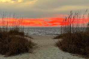 Un sentiero sulla spiaggia che conduce all'oceano, con alte erbe da entrambe le parti.