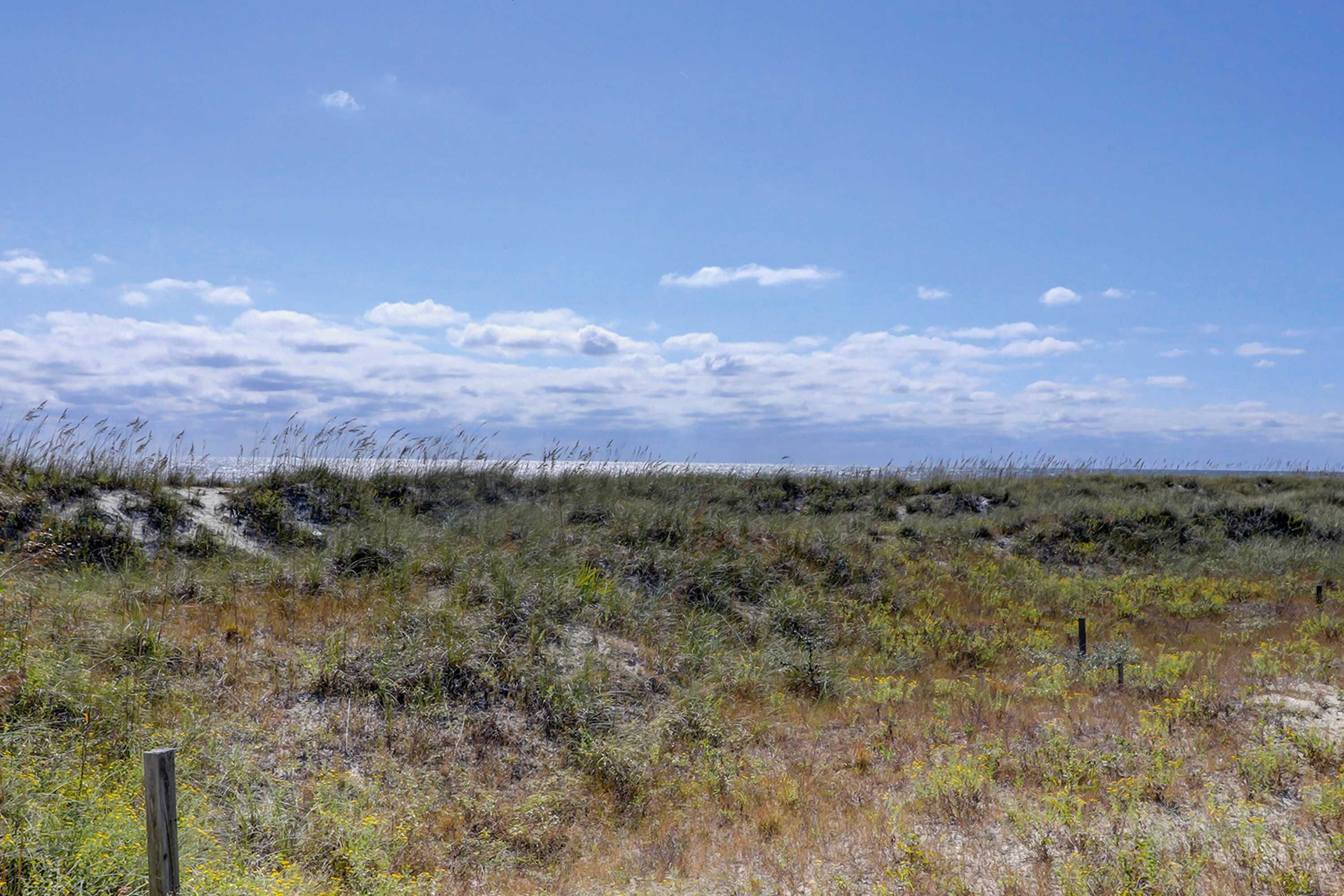 A natural landscape with dunes and sparse vegetation.