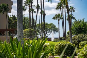 Property grounds - Kamaole Sands 5-210 - Stunning 1br/2ba, King Bed, Center-cut Bldg 5, AC, Wi-fi (Kihei)