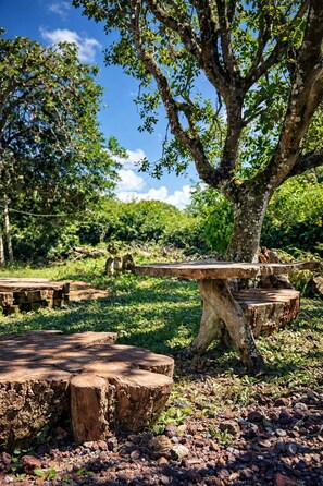 Standard Room, Garden View | Property grounds - Hotel Amancay - Pool and Jacuzzi  (El Progresso)