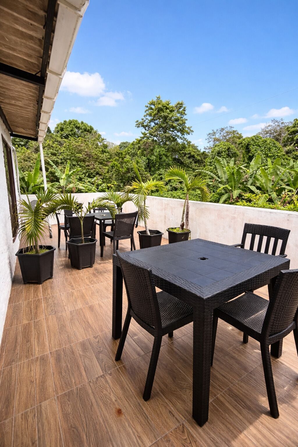 A patio with a table and chairs, surrounded by potted plants and a view of greenery.