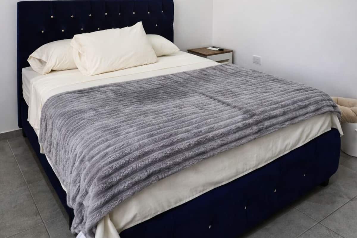 Kamar Standar, pemandangan kebun